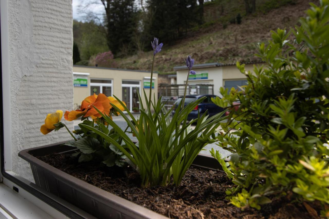 Pension Hoenel-Hof Bad Schandau Ngoại thất bức ảnh